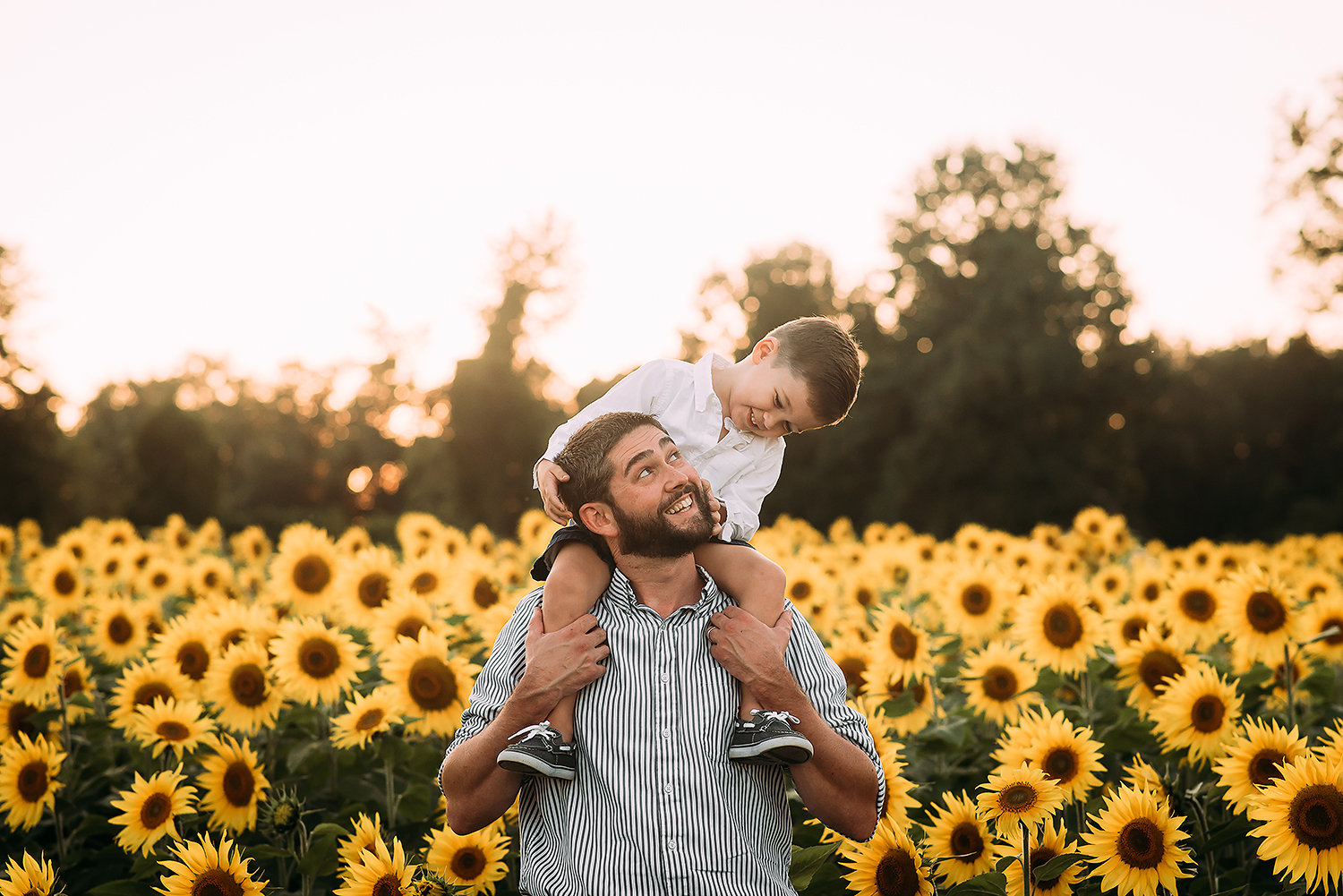 Baltimore Maryland Family Photography sunflowers The Sunflower Garden Jarretsville father and son Jessica Fenfert