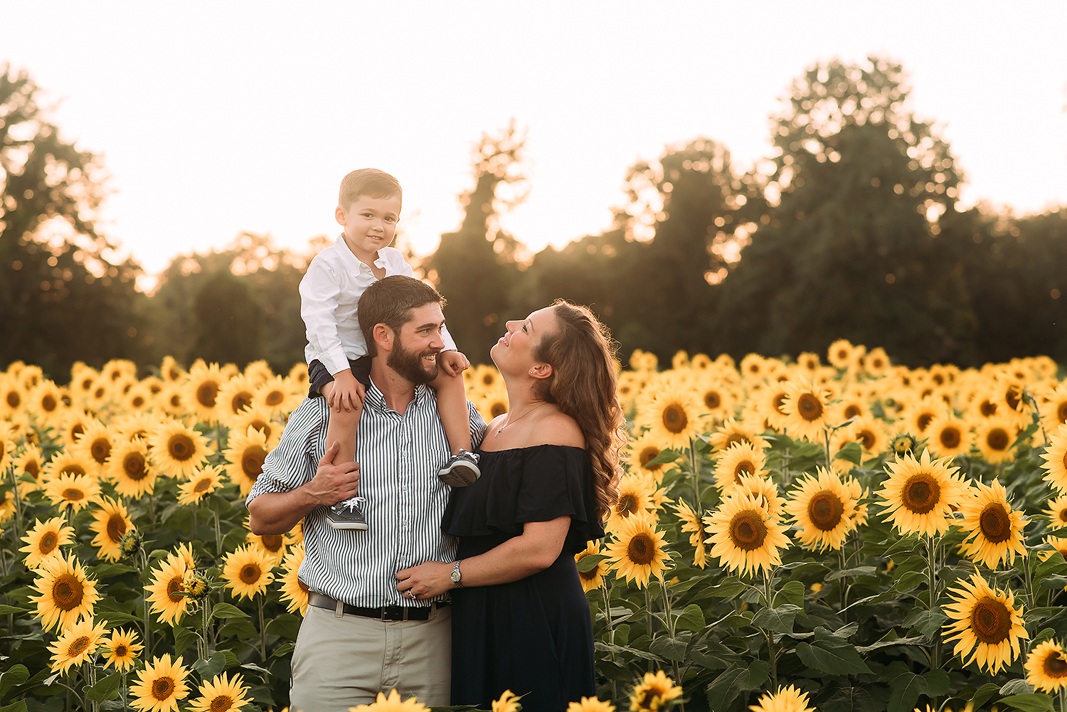 Baltimore Maryland Family Photography sunflowers The Sunflower Garden Jarretsville Jessica Fenfert