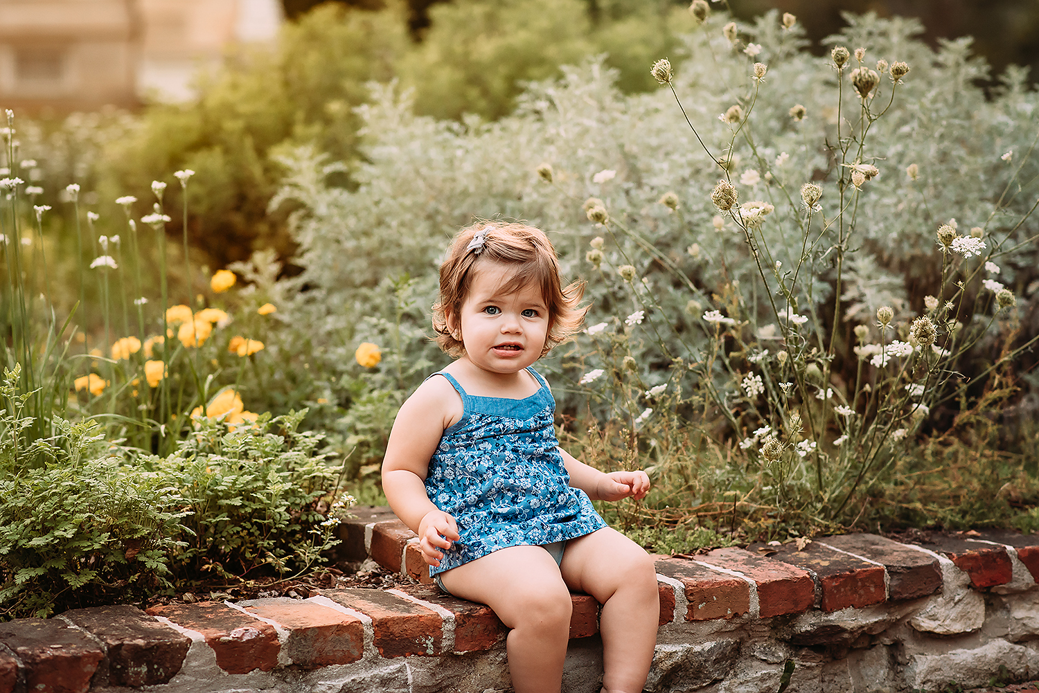 Jessica Fenfert Photography Baltimore Maryland Family Photographer (20).jpg