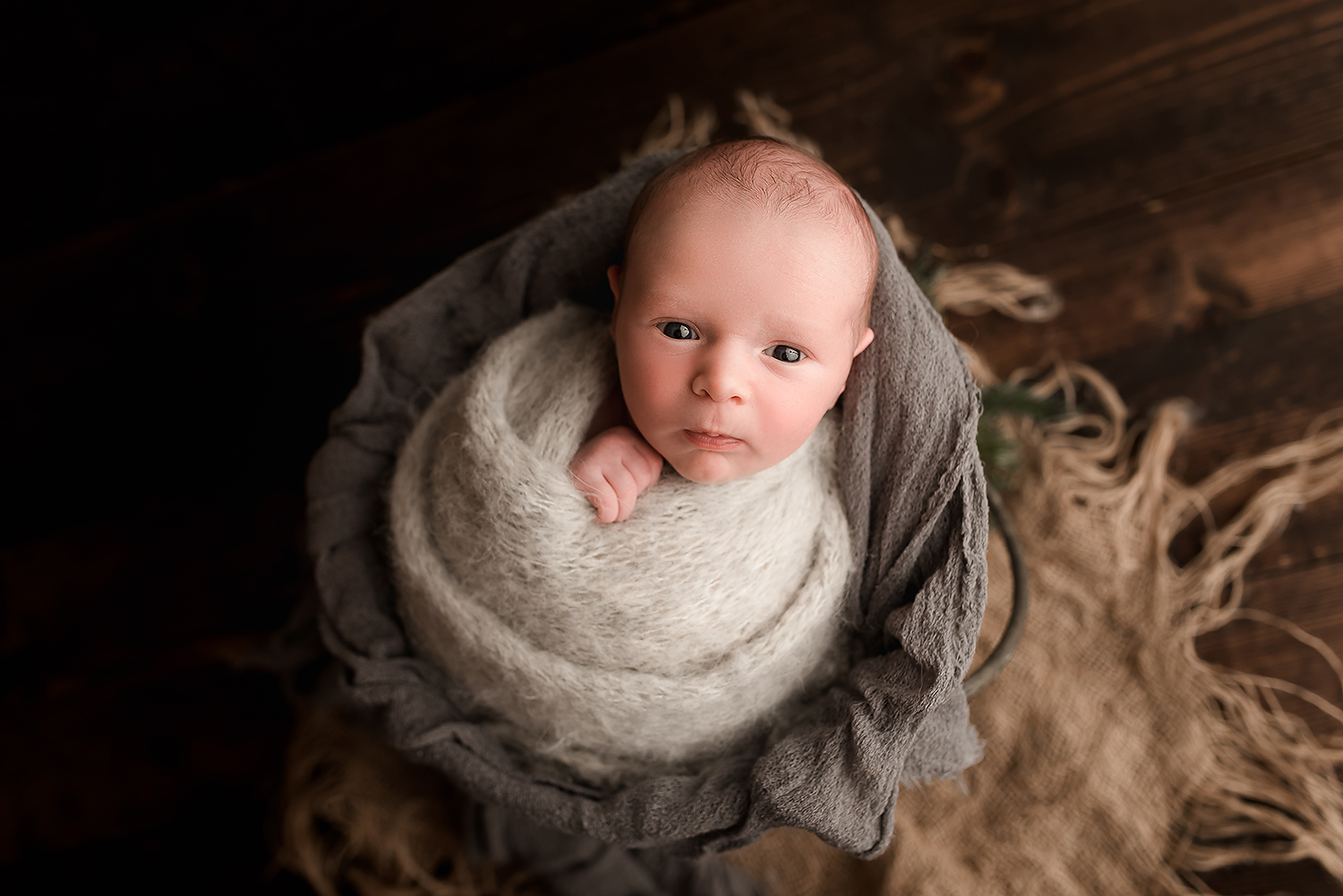 Baltimore Maryland Newborn Photgrapher Jessica Fenfert baby boy awake in a bucket