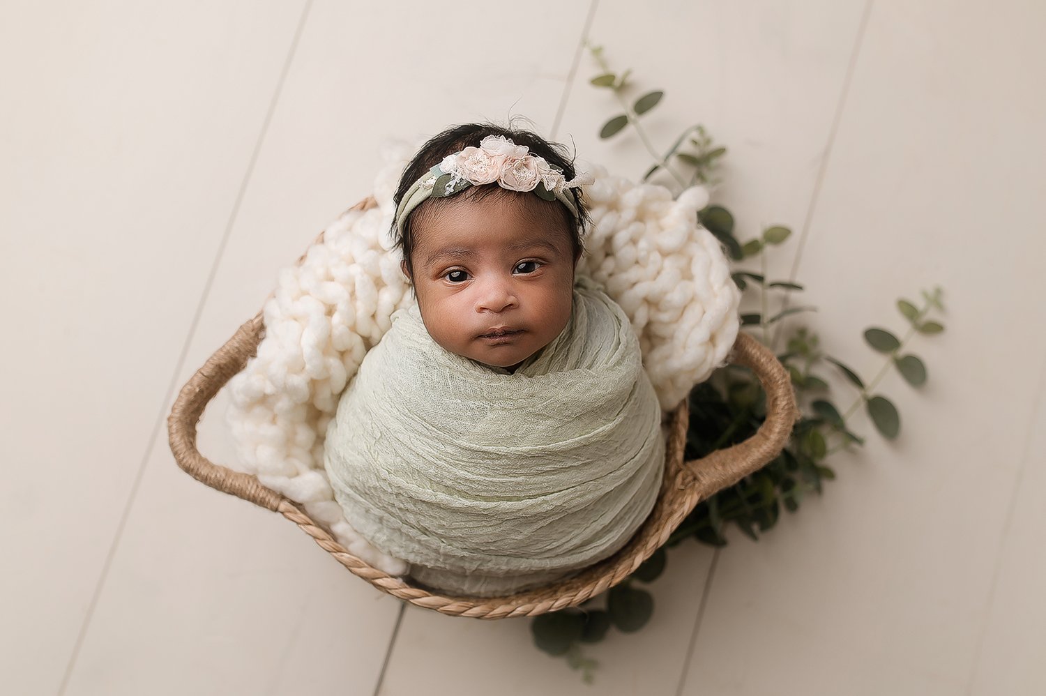 Jessica Fenfert Baltimore Maryland Newborn Photographer baby in basket green