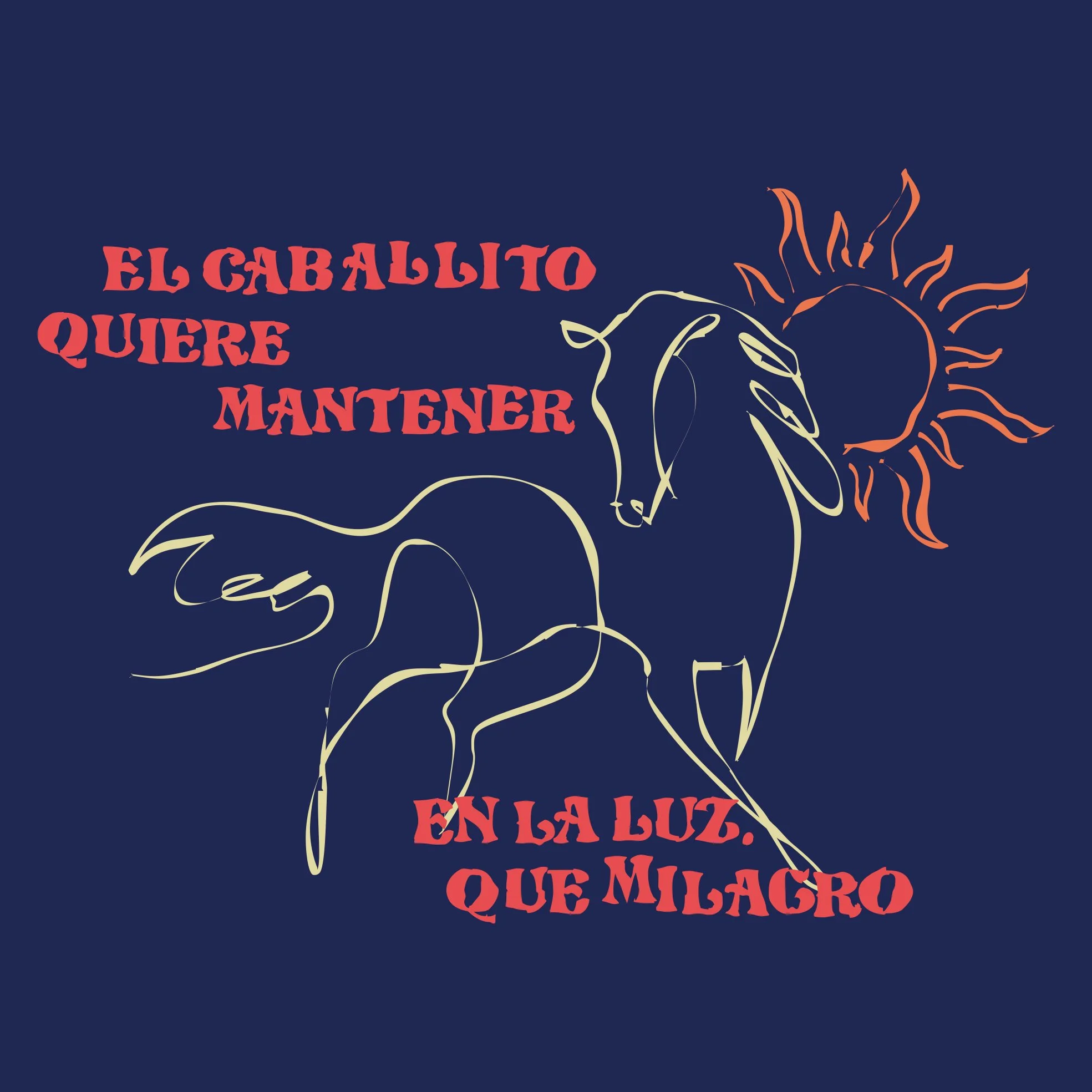 in the light of the miracle navy detail.jpg