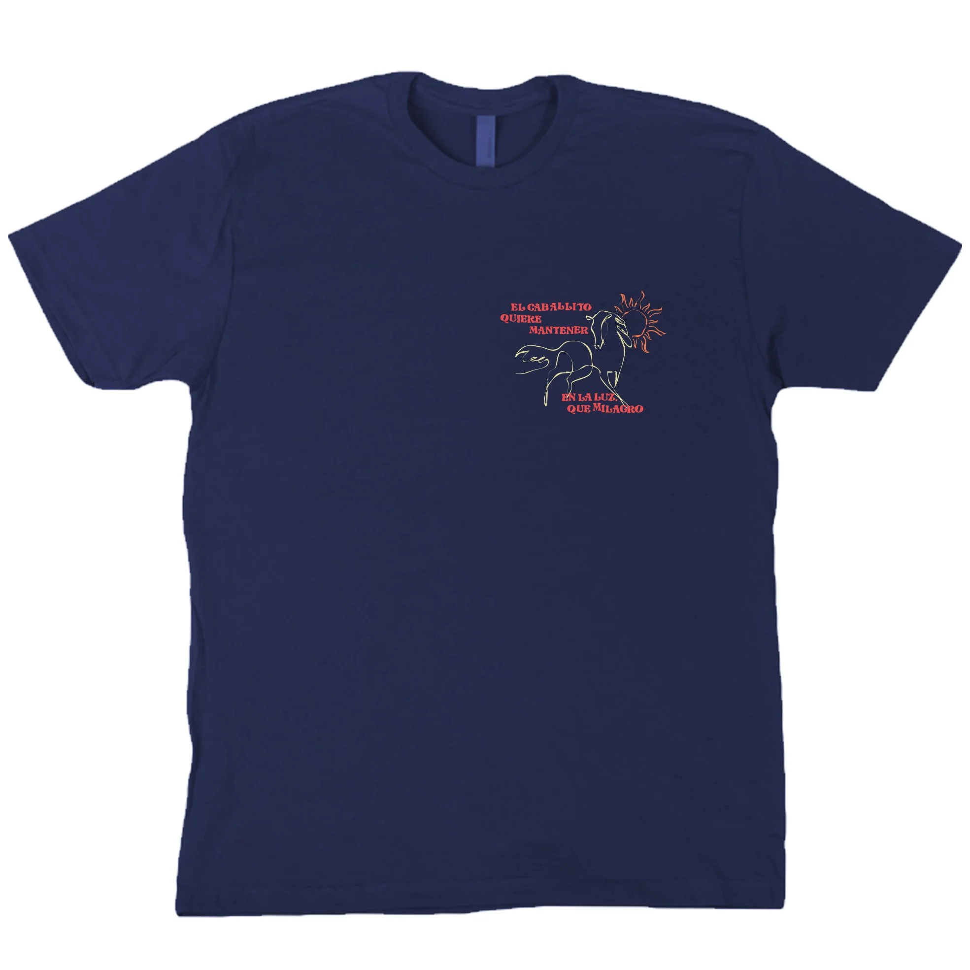 in the light of the miracle navy.jpg