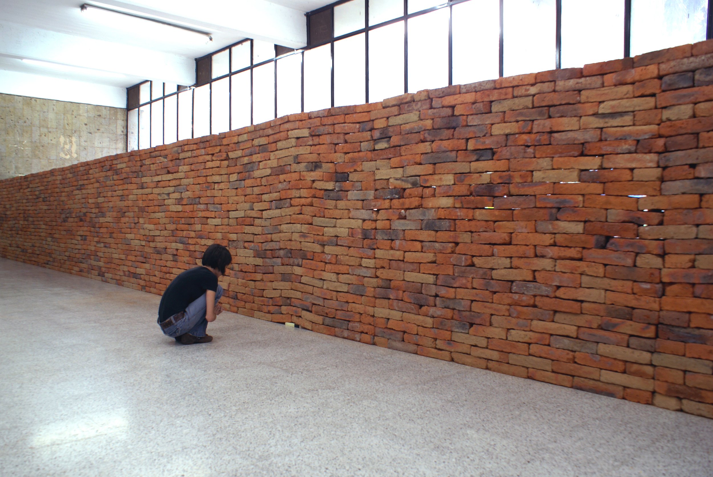    El castillo   /   The Castle  , 2007  Ladrillos, edición de  El castillo  de Franz Kafka / Bricks, edition of Franz Kafka’s  The Castle   2300 x 175 x 40 cm  Vista de instalación en la Biblioteca José Cornejo Franco, Guadalajara, 2007 / Installati