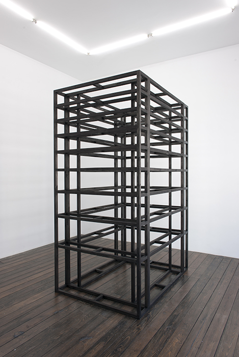 Estructura de librero I / Bookshelf Structure I , 2011 Madera entintada / Tinted wood 120 x 164 x 252 cm