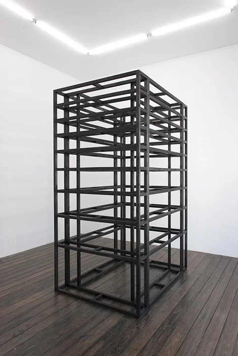 Estructura de librero I / Bookshelf Structure I , 2011 Madera entintada / Tinted wood 120 x 164 x 252 cm