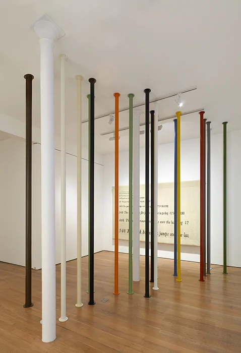 Do Not Go Gentle into That Good Night (Dylan Thomas) , 2014 Pintura de poliuretano, tubos de aluminio / Polyurethane paint , aluminum tubes 19 piezas / 19 pieces Medidas finales variables / Final dimensions variable