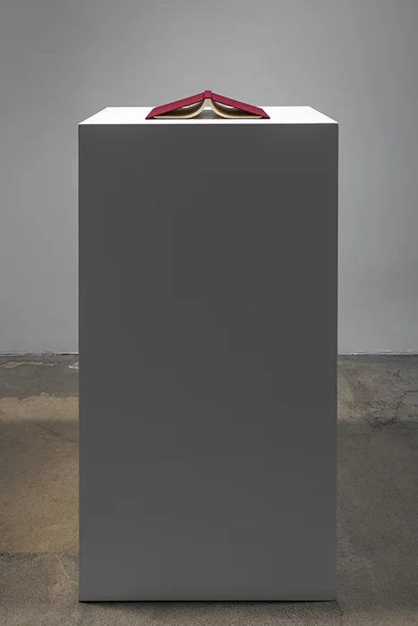 Vita activa / Vita contemplativa (Como la lluvia) , 2015 Libro, pedestal / Book, plinth 109 x 56 x 38 cm