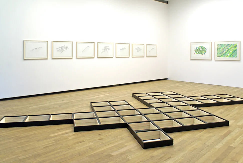 La biblioteca Borges / The Borges Library , 2010 M adera, espejo / Wood, mirror Medidas variables / Dimensions variable