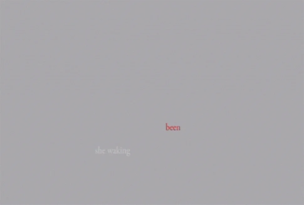 The Capital in a Midsummer Night’s Dream , 2009 Video monocanal / Single channel video 01’31”