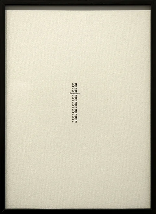 Nocturnos (Xavier Villaurrutia) / Nocturnes (Xavier Villaurrutia) , 2016 Tinta sobre papel / Ink on paper Políptico de 17 piezas de 37.5 x 27.5 cm cada una / Polyptych of 17 pieces of 37.5 x 27.5 cm each Detalle / Detail
