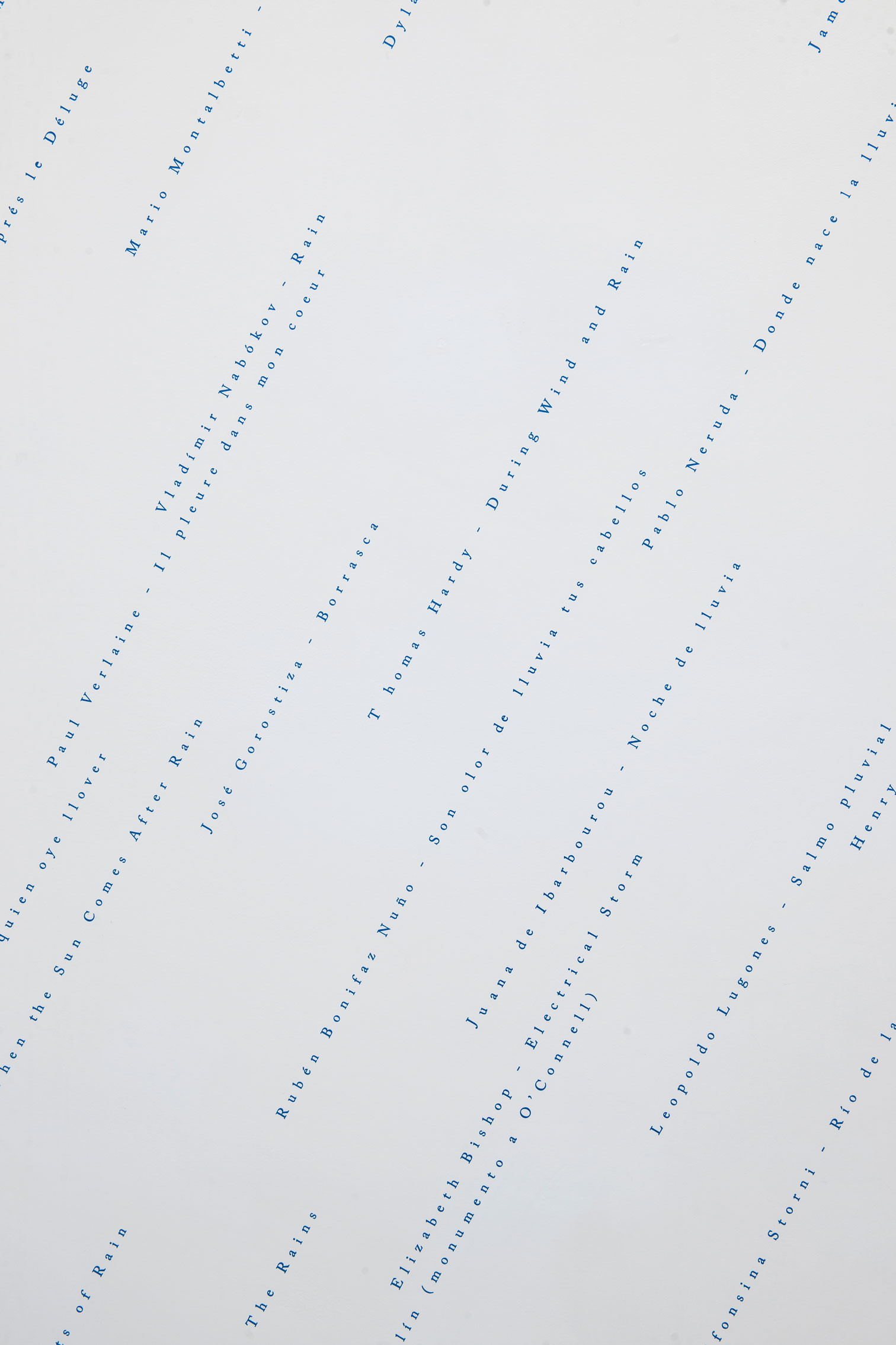    Está lloviendo (una antología)&nbsp;/&nbsp;It's Raining (An Anthology),   2017  Vinil / Vinyl  Dimensiones variables / Dimensions variable  Detalle / Detail 