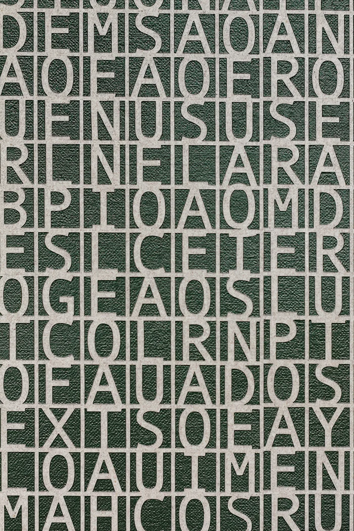 Desmantelando a Gorostiza (Poema frustrado) / Dismantling Gorostiza (Poema frustrado) , 2017 Acrílico sobre lino / Acrylic on linen 121.7 x 152.3 cm Detalle / detail