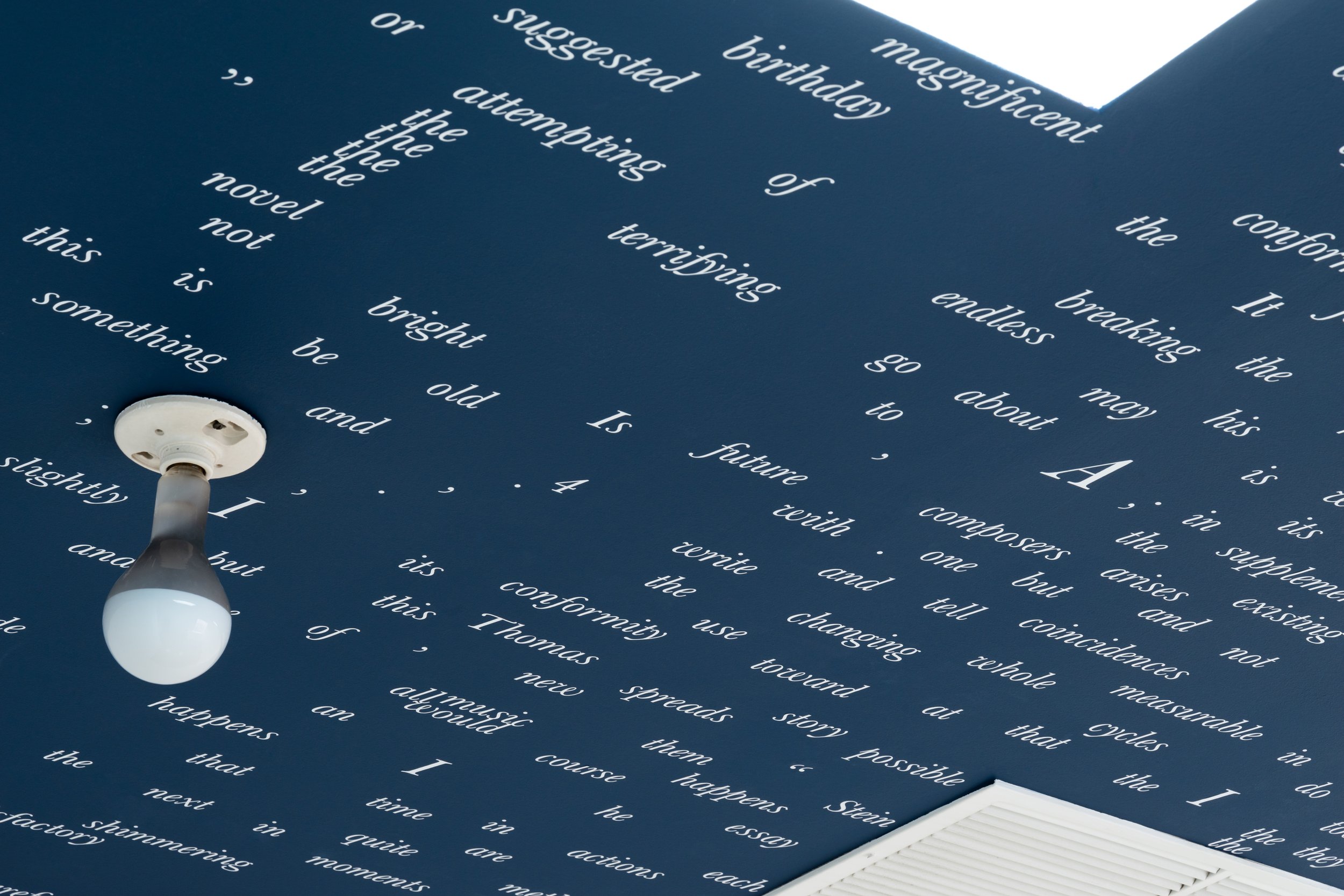 Propuesta de paisaje para bóveda (Dimensions for a Novel. Elizabeth Bishop) / Proposal for a Ceiling Landscape (Dimensions for a Novel. Elizabeth Bishop) , 2023 Pintura sobre techo / Paint on ceiling 9 x 5 m Detalle / Detail Photo: Nice Day Pho