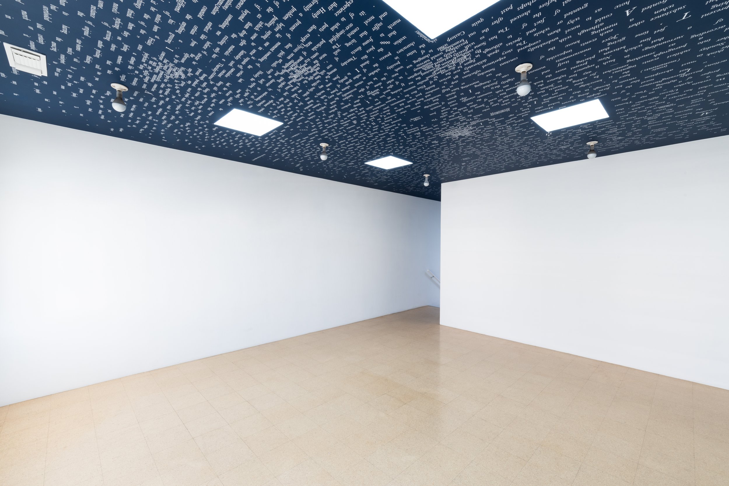 Propuesta de paisaje para bóveda (Dimensions for a Novel. Elizabeth Bishop) / Proposal for a Ceiling Landscape (Dimensions for a Novel. Elizabeth Bishop) , 2023 Pintura sobre techo / Paint on ceiling 9 x 5 m Exhibition View / Vista de Exhibición