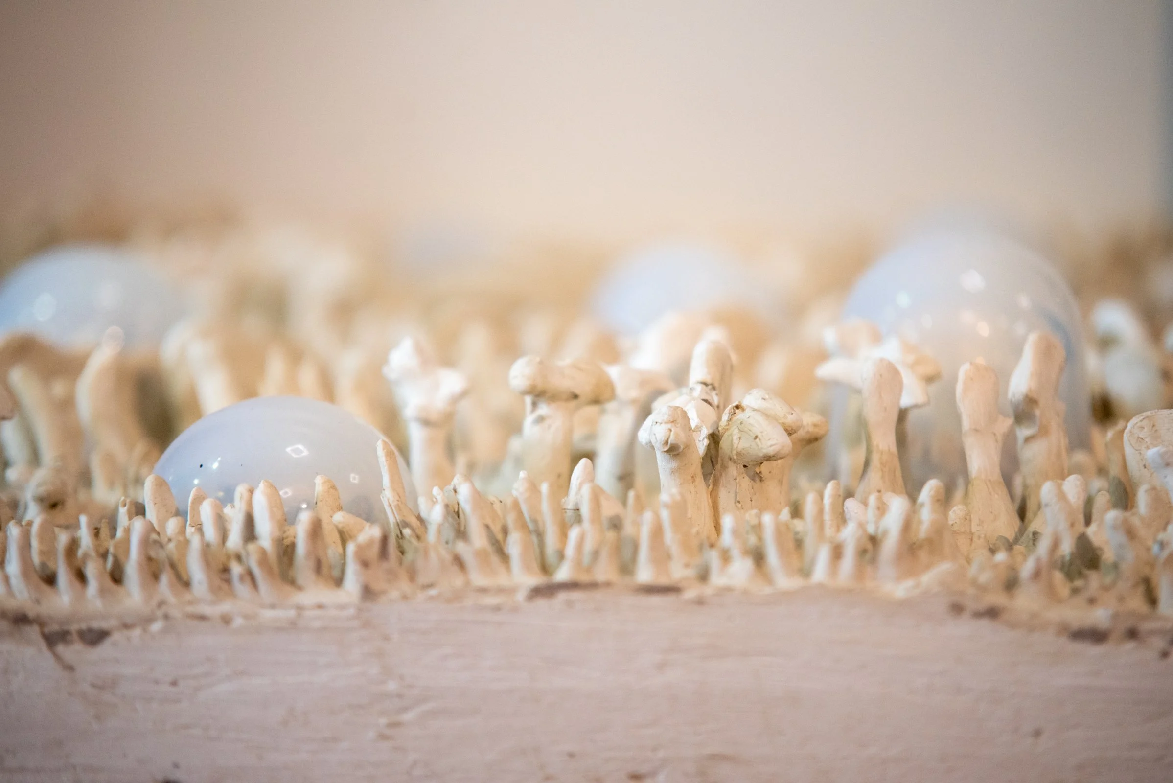 STAMPS_MFA_03-2022-Photography-By-Katie-Alexis-36 (1).jpg