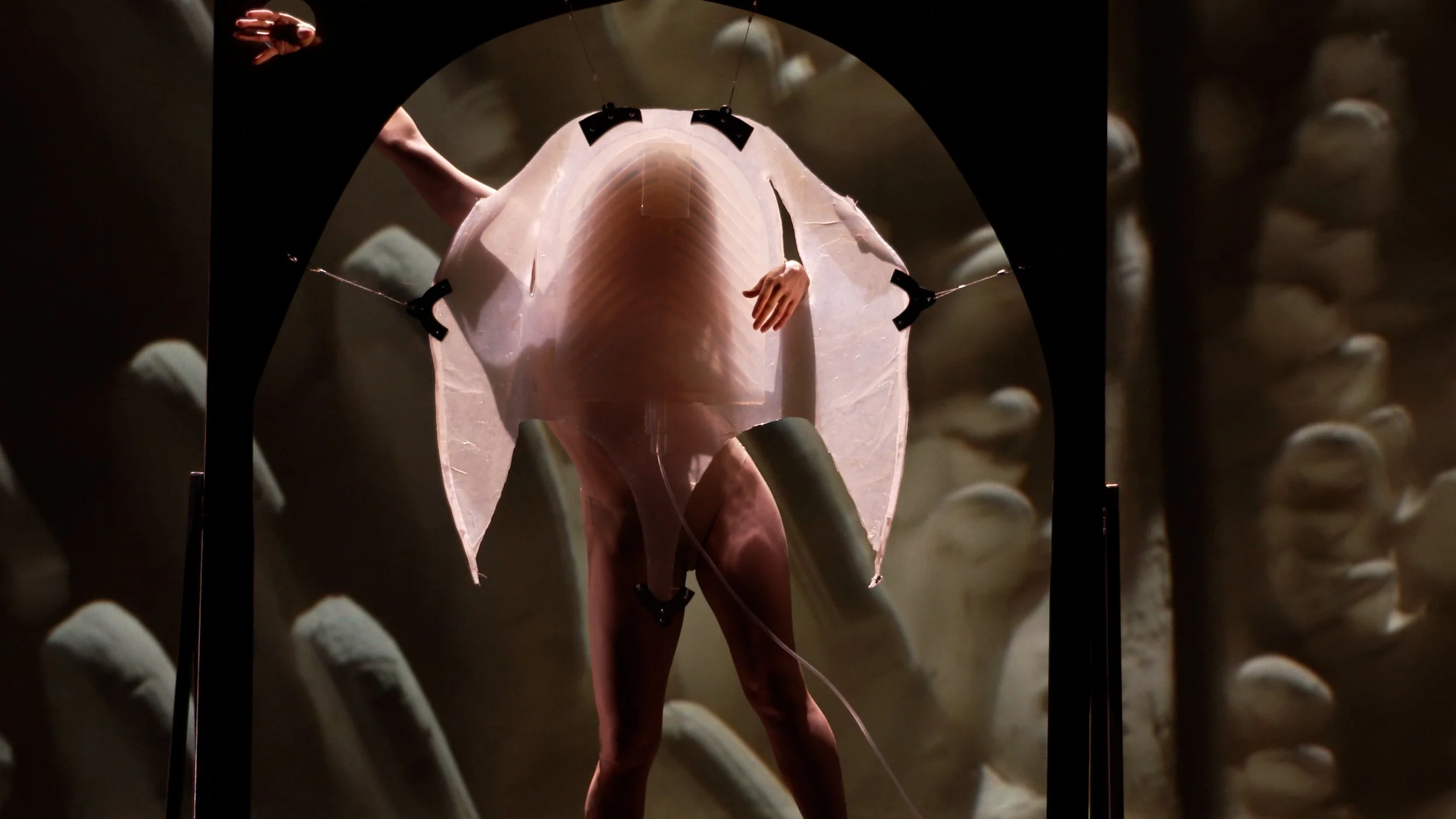 better 5th still.jpg