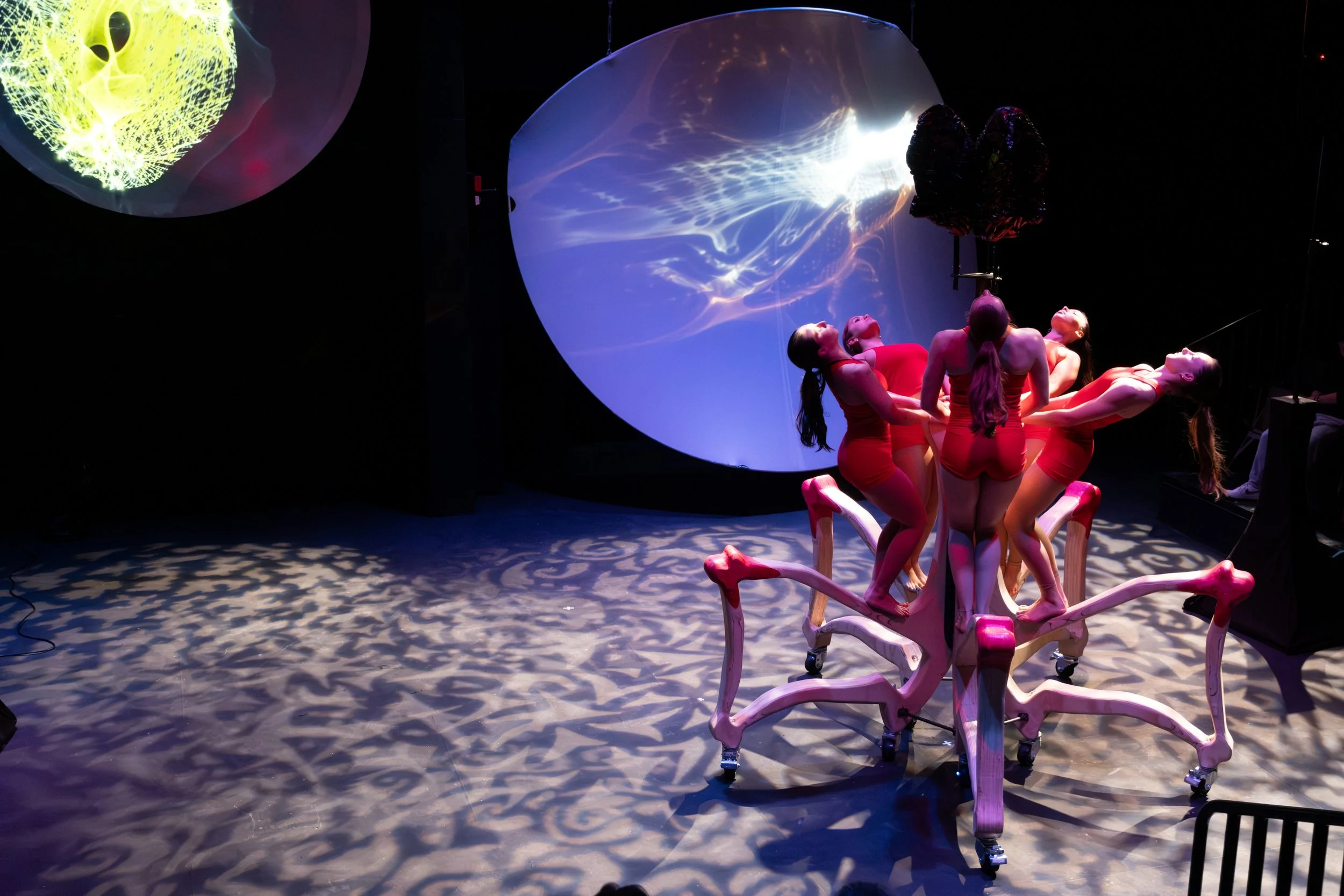 SUNY ONEONTA 14 RESIZE.jpg