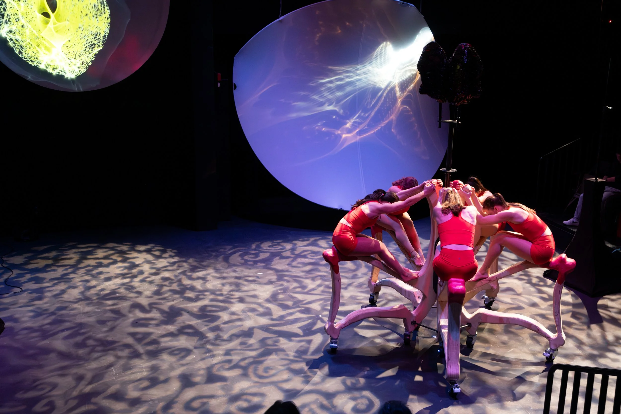 SUNY ONEONTA 15 RESIZE.jpg