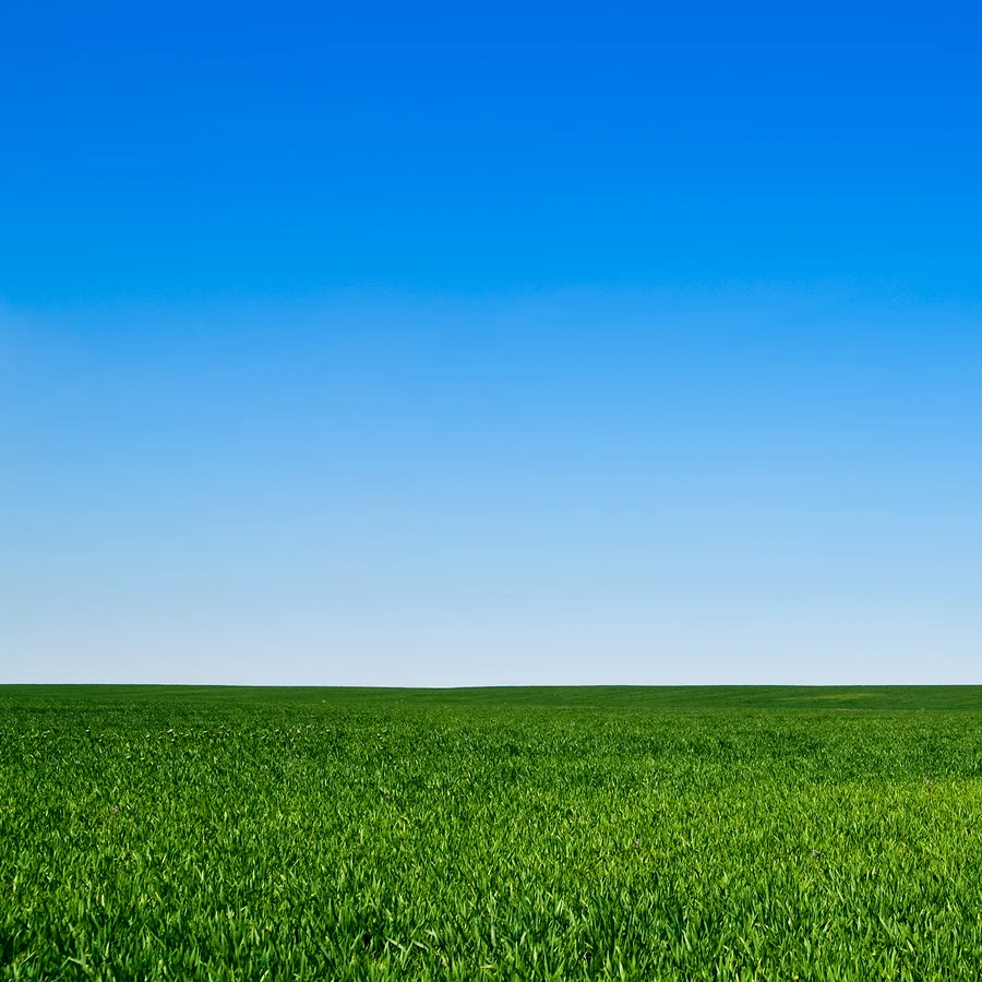 Blue Sky Landscape.jpg