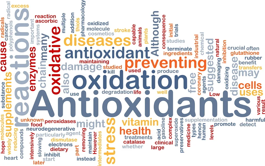 Metabolic Factors In Cognitive Dysfunction