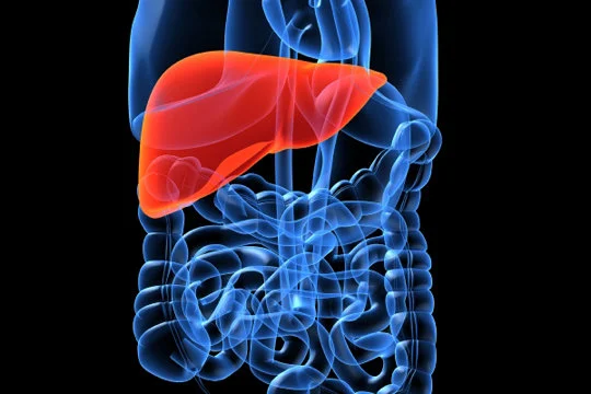 Silent Liver Disease May Effect 30% Of Americans