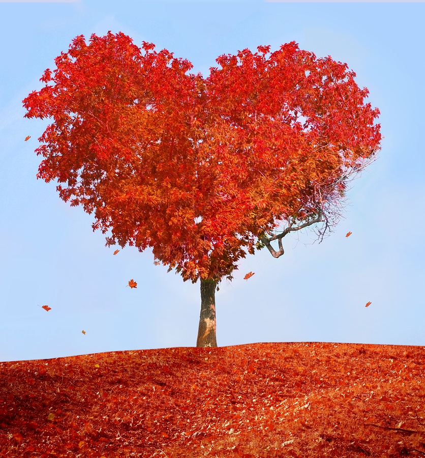 Tree of Love.jpg