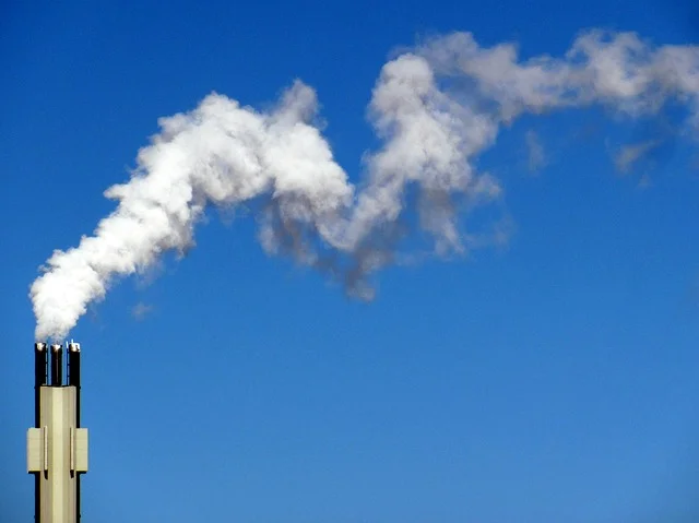 Air Pollution and Autism