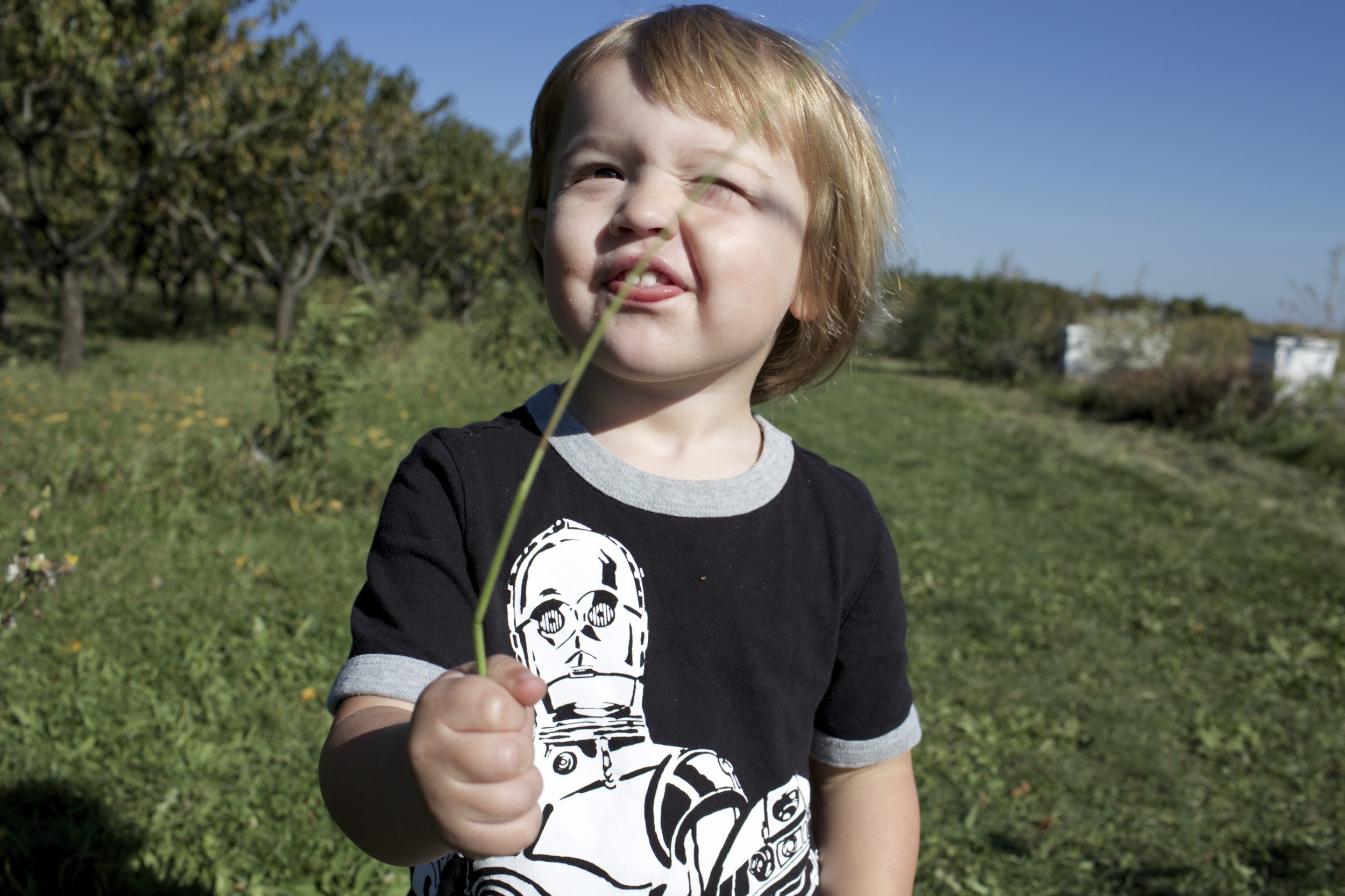 IMG_1987 - Version 2.jpg