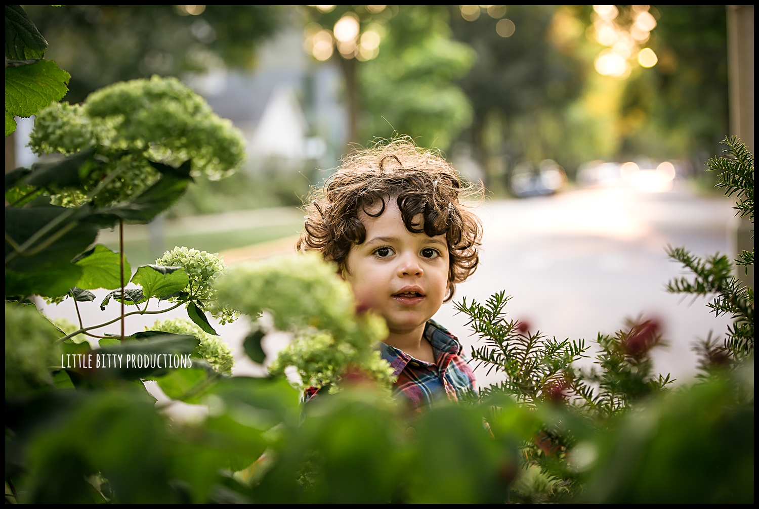 oakparkfamilyphotographer_0095.jpg