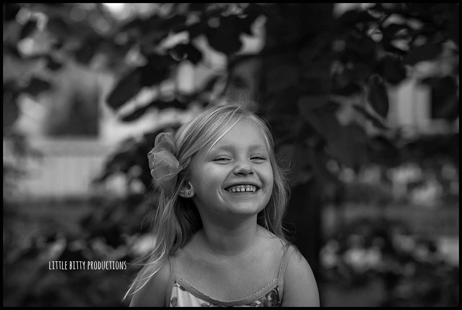 oak park children's photographer