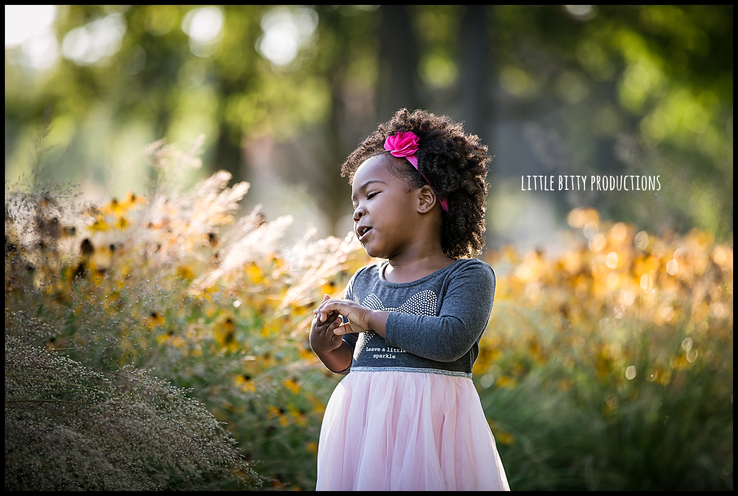 chicago children's photographer