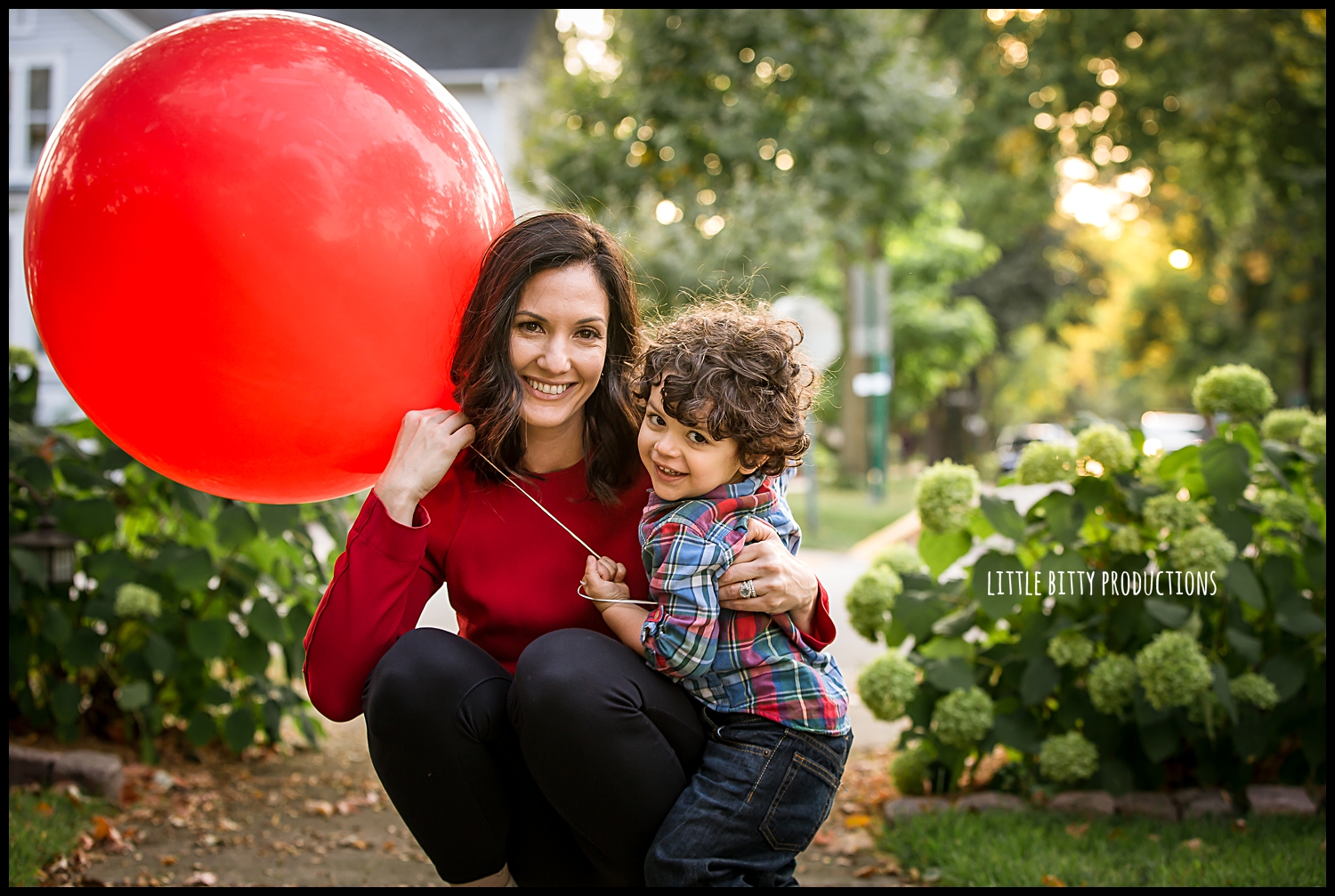 oak park family photographer