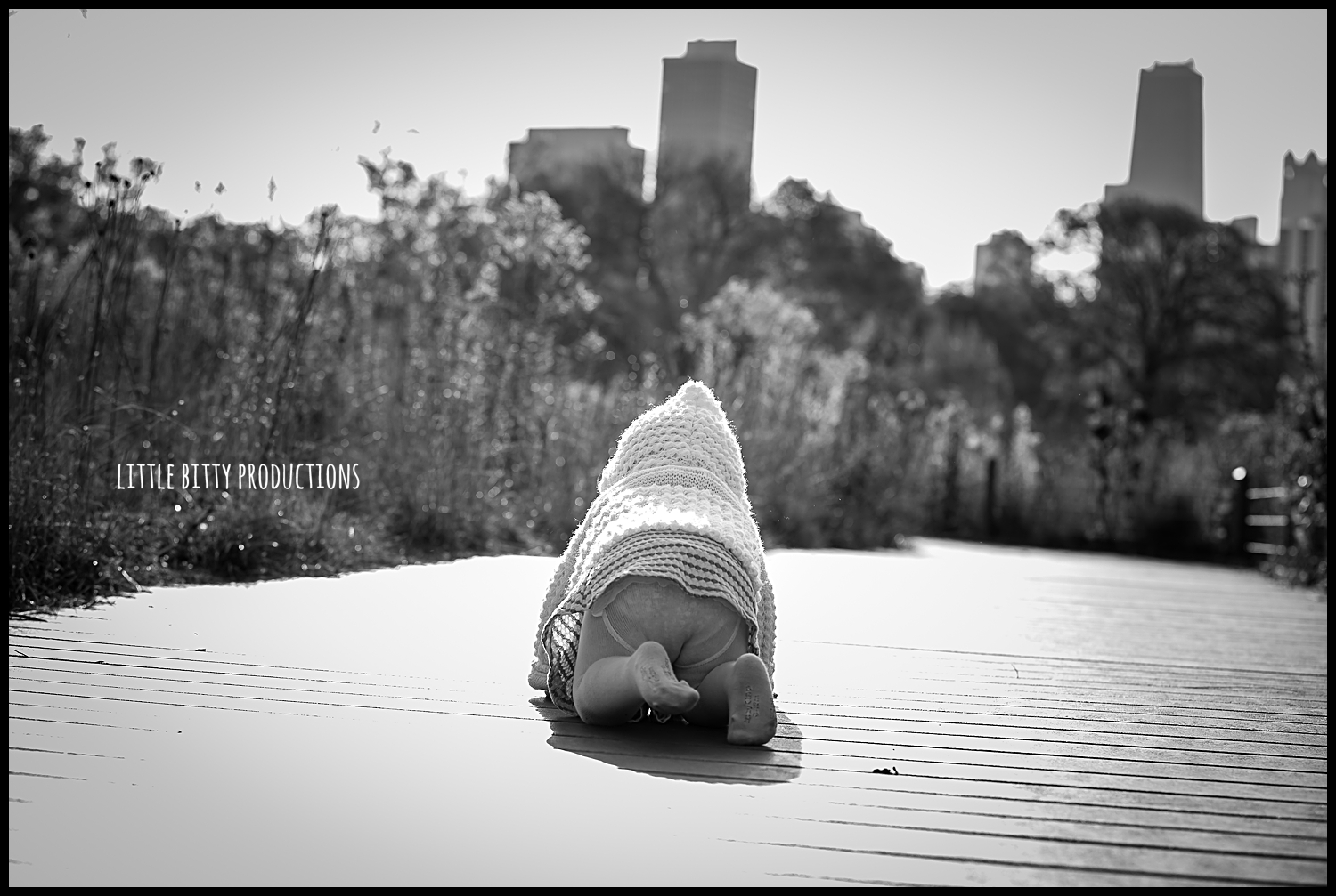 chicago family photographer