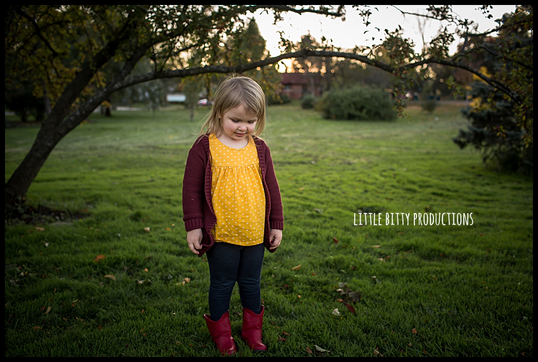 oakparkfallphotosessions_0111.jpg