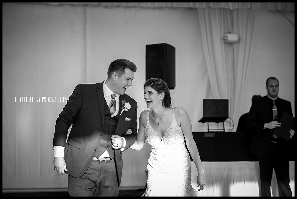 weddingphotographeroakpark_0460.jpg