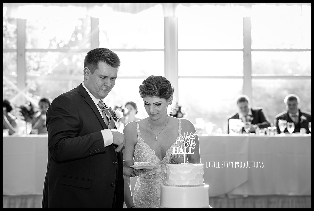 weddingphotographeroakpark_0483.jpg