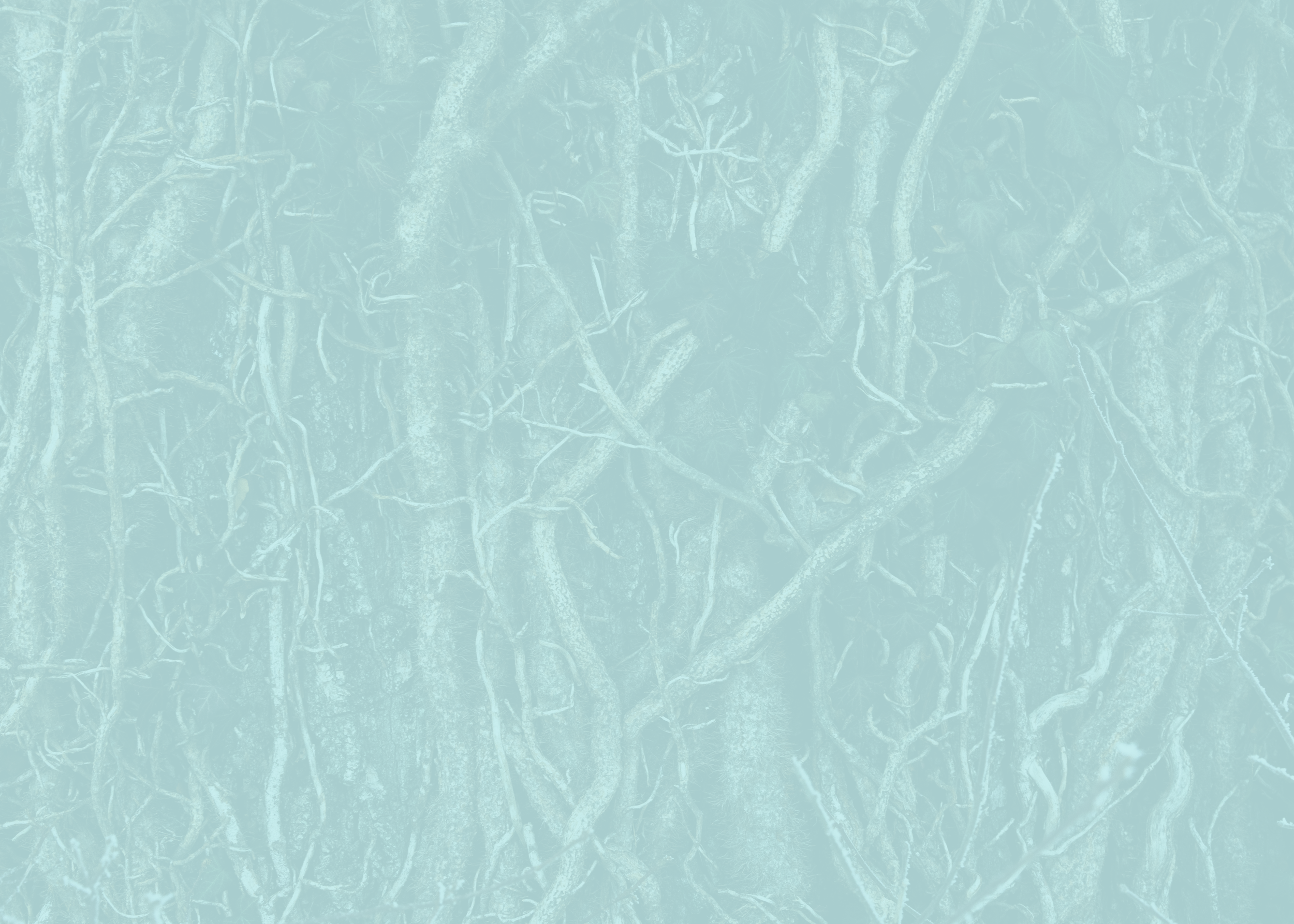 FRoots-Landing BKGD.png