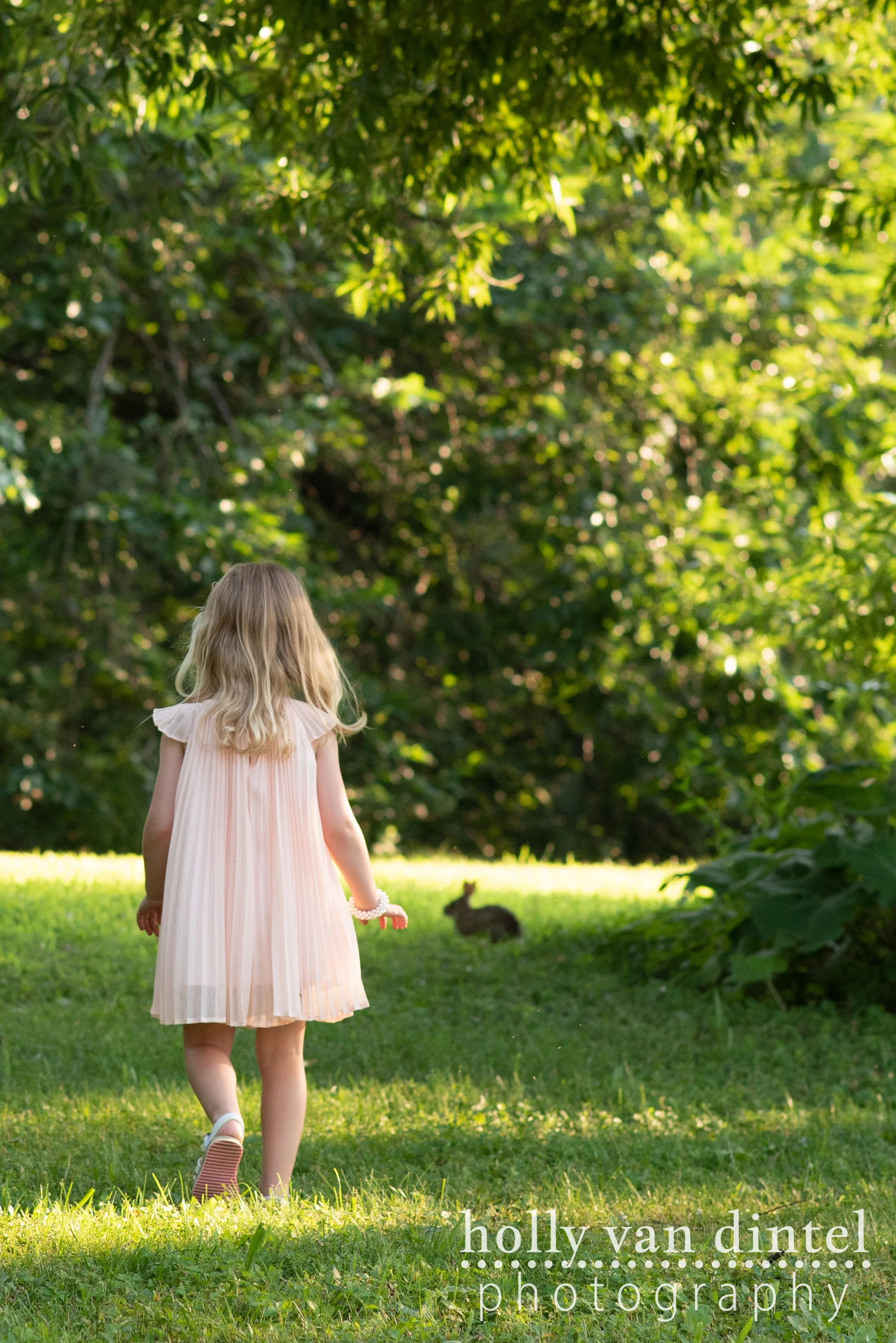 Little girl walking towards a small rabbit sitting in the grass.