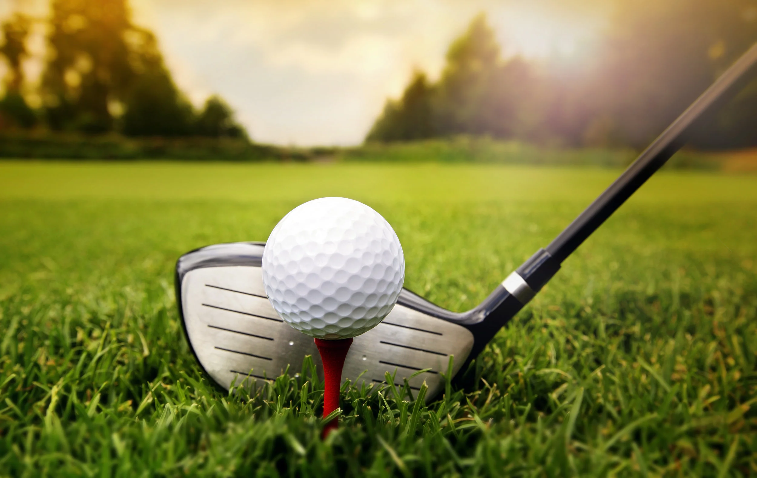 Jeff Stern Golf Tournament