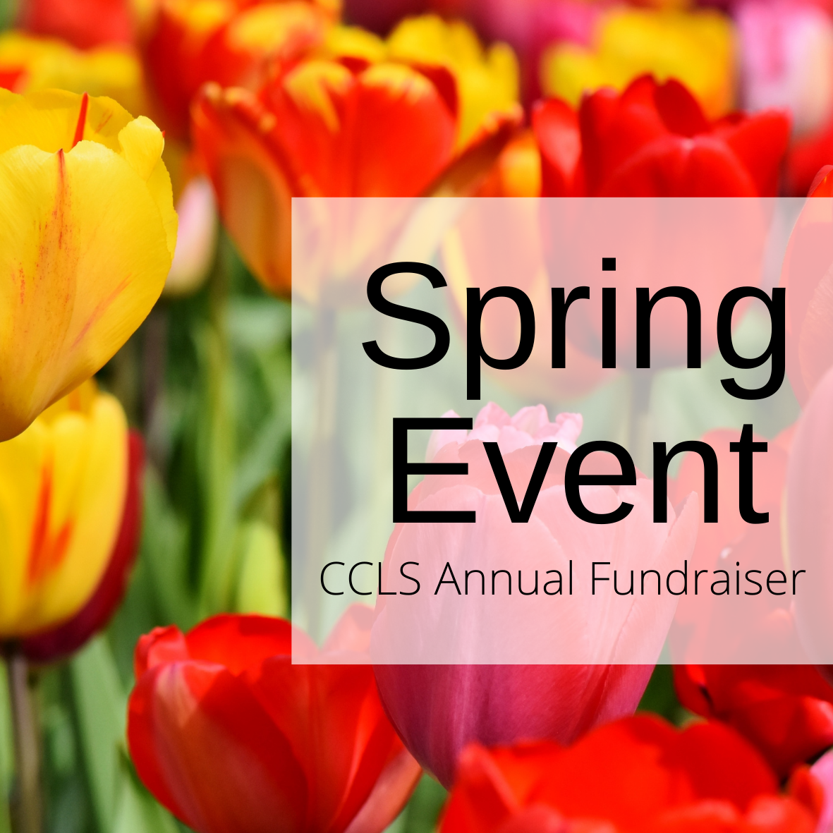 20th Annual Spring Event