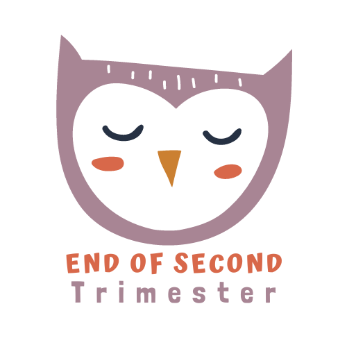End of 2nd Trimester