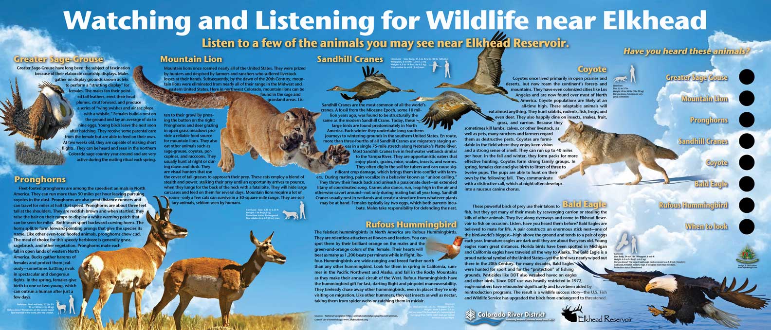 Watching and Listening for Wildlife.