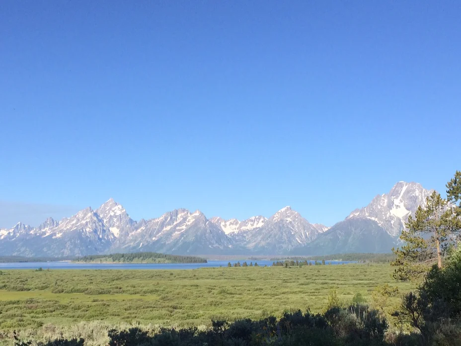 Cross-Country Trip - Broken Collar Bone