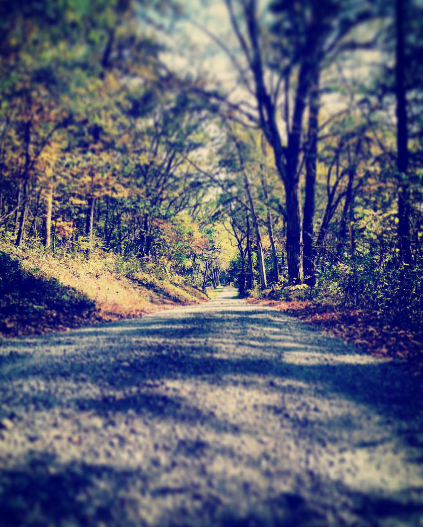 Tide Spring Rd
