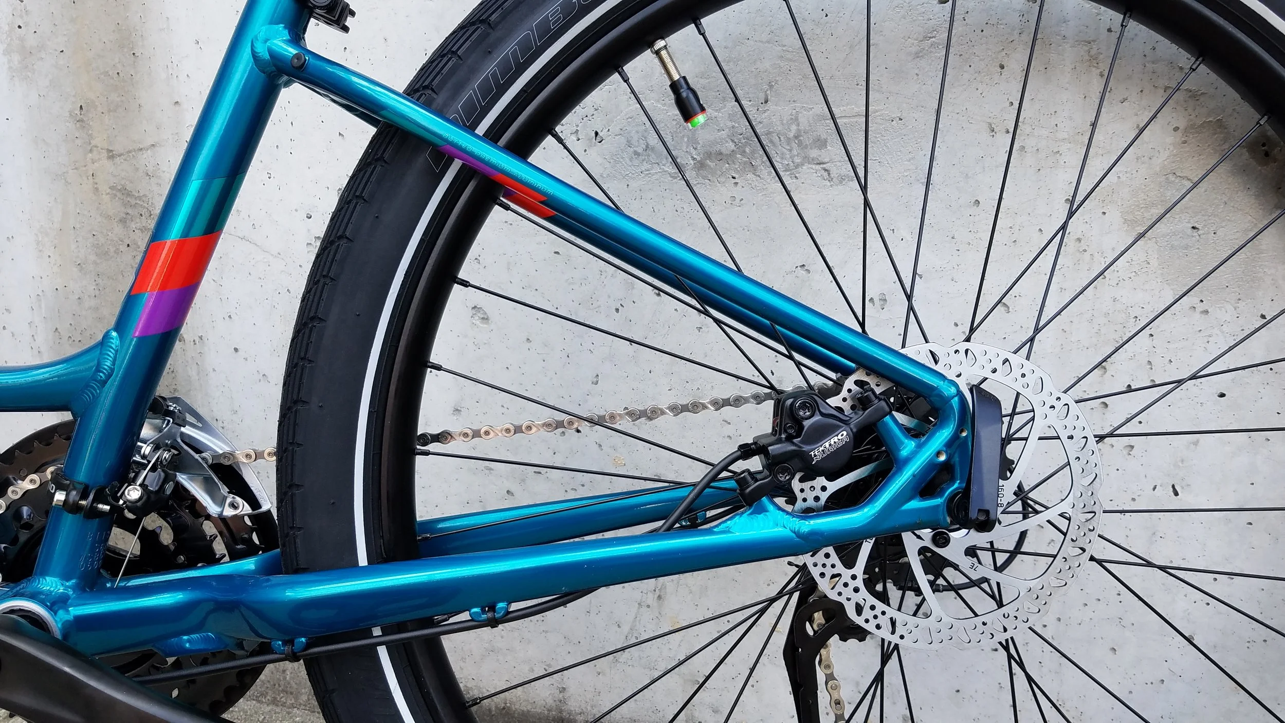 specialized roll low entry 2018