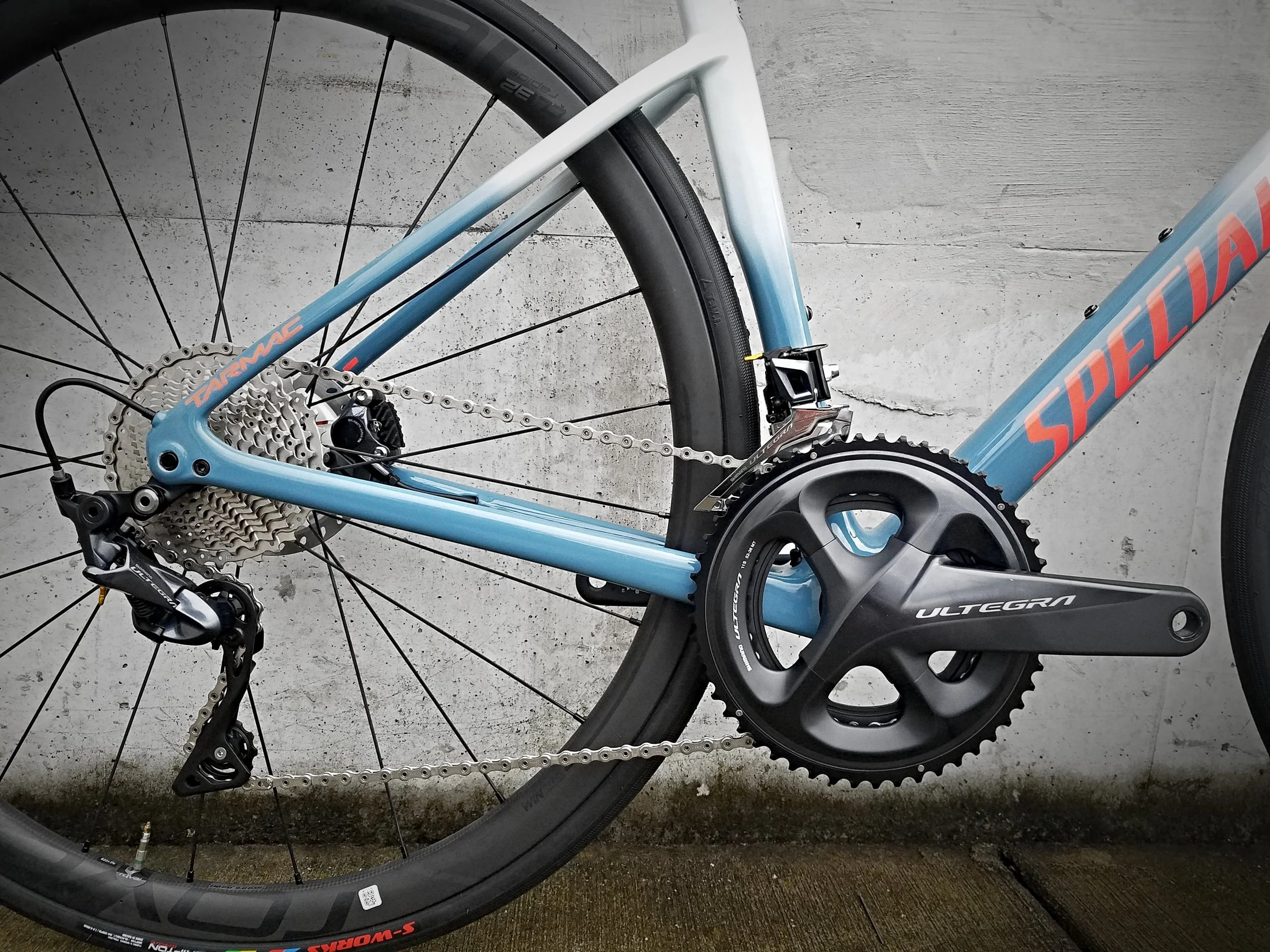 women's tarmac disc expert
