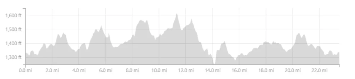typical elevation.jpg