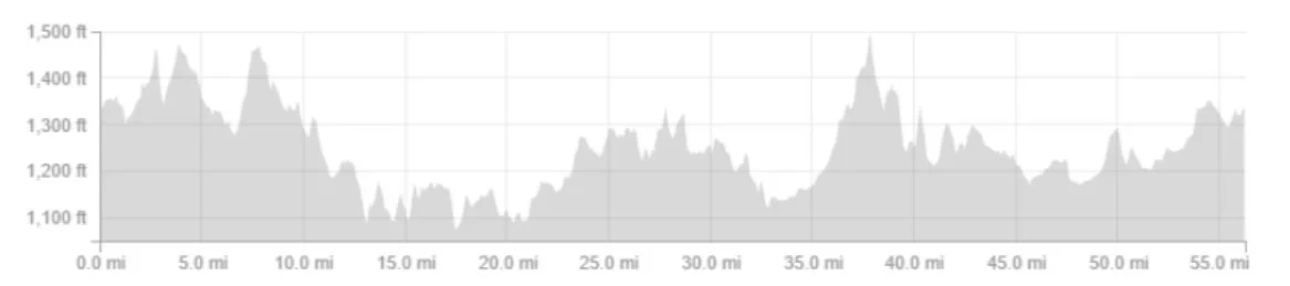 augusta triangle elevation.jpg