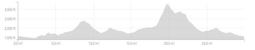 Beginning of SM100 elevation.png